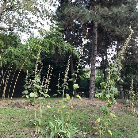 Tra S.Orsola E Fiera Apartment Bologna Bagian luar foto