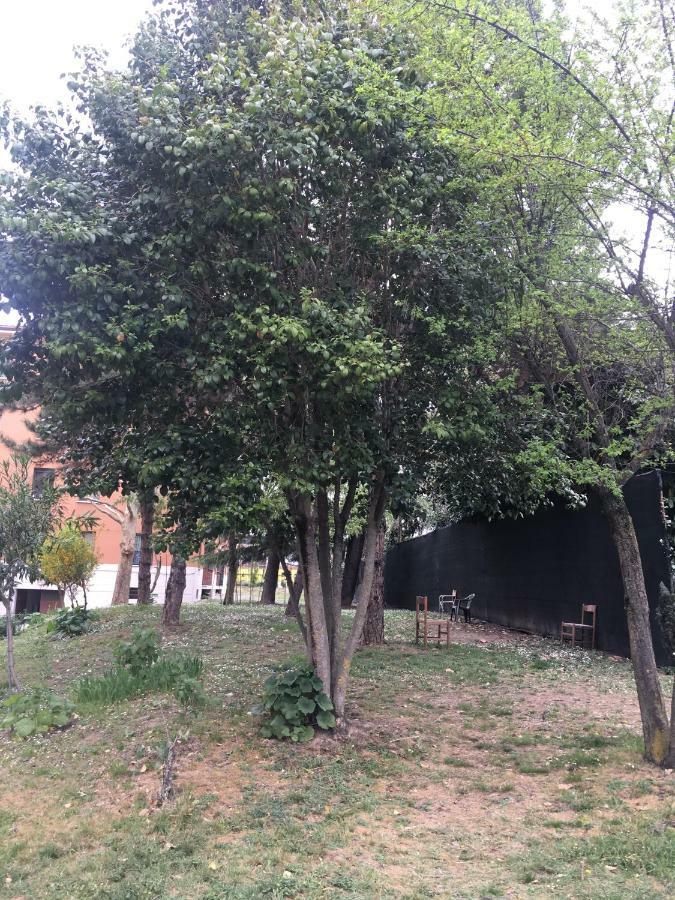 Tra S.Orsola E Fiera Apartment Bologna Bagian luar foto
