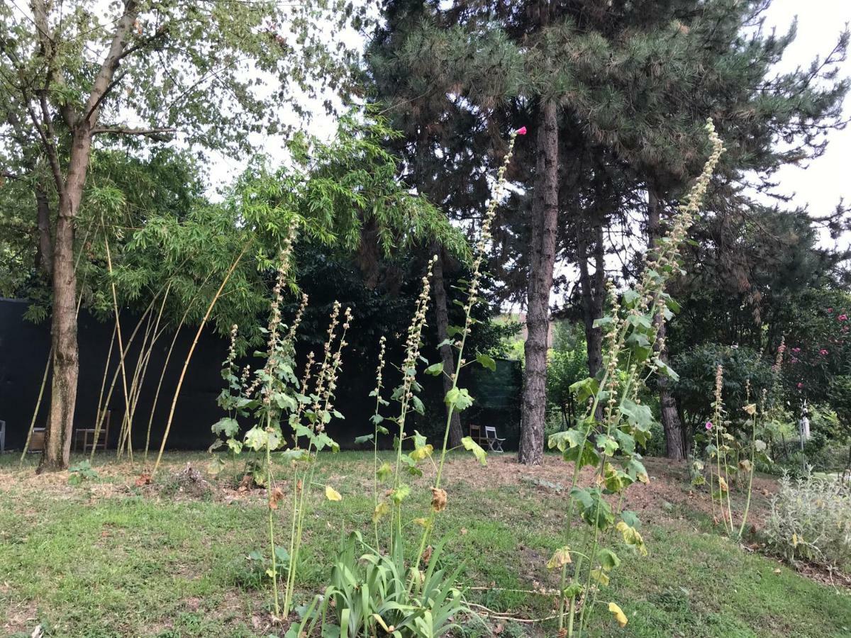 Tra S.Orsola E Fiera Apartment Bologna Bagian luar foto